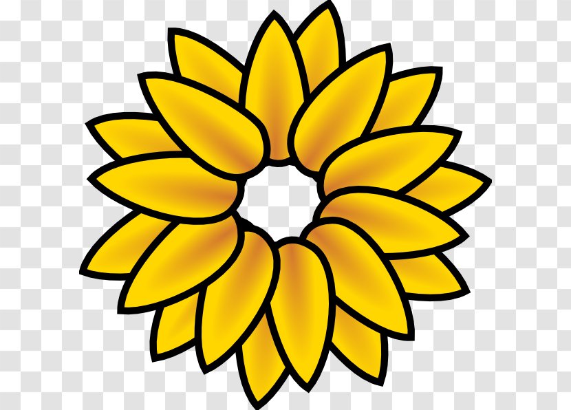 Common Sunflower Coloring Book Seed - Cut Flowers - Flower Transparent PNG