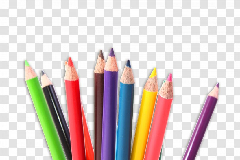 Colored Pencil Drawing Crayon Transparent PNG
