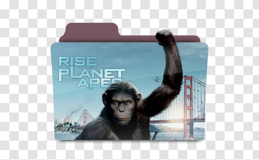 James Franco Rise Of The Planet Apes Film - Rupert Wyatt Transparent PNG
