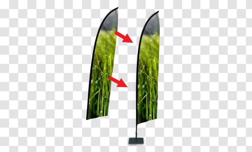 Leaf Grasses Transparent PNG