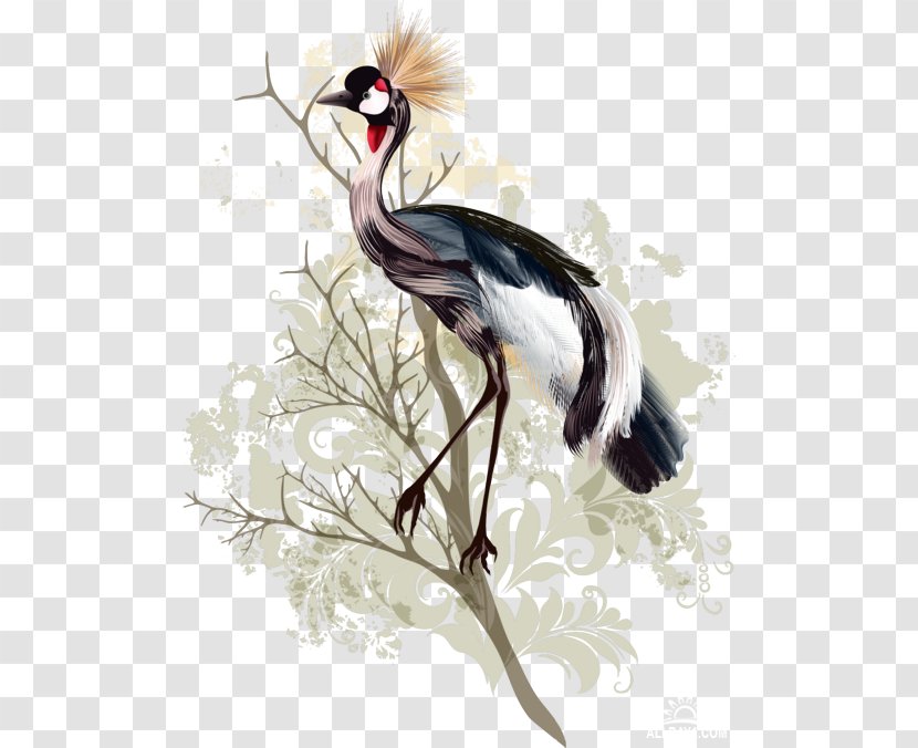 Bird Crane Drawing Watercolor Painting - Fauna Transparent PNG