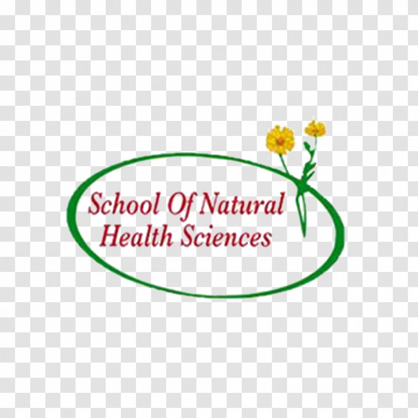 Alternative Health Services Detoxification Academy Of Natural Sciences Drexel University Colon Cleansing - Holistic Healing Transparent PNG