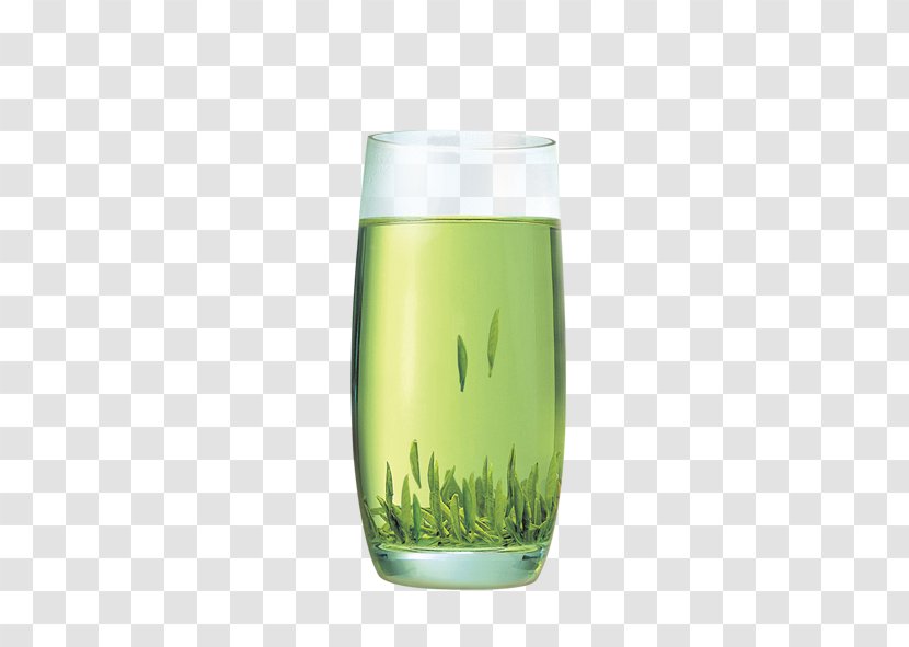 Green Tea Xinyang Maojian Teacup Transparent PNG