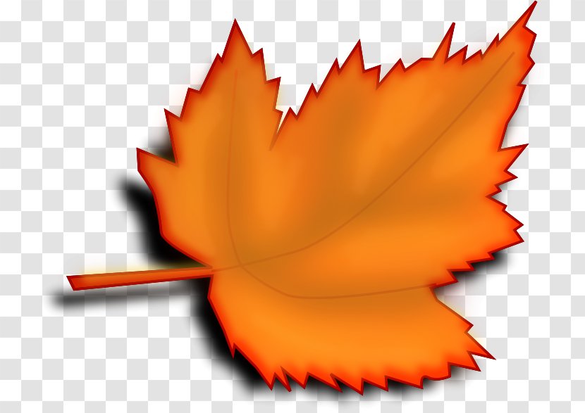 Autumn Leaf Color Clip Art - Plant - Two Leaves Transparent PNG