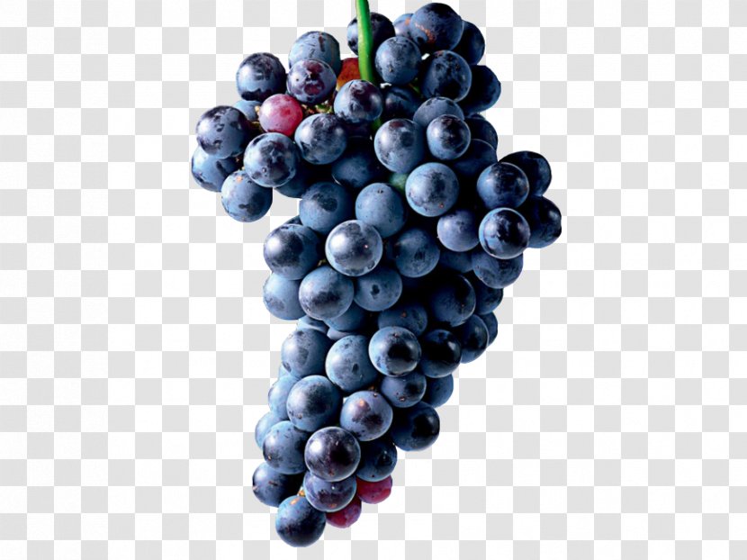 Common Grape Vine Zante Currant Seedless Fruit - Vitis Transparent PNG