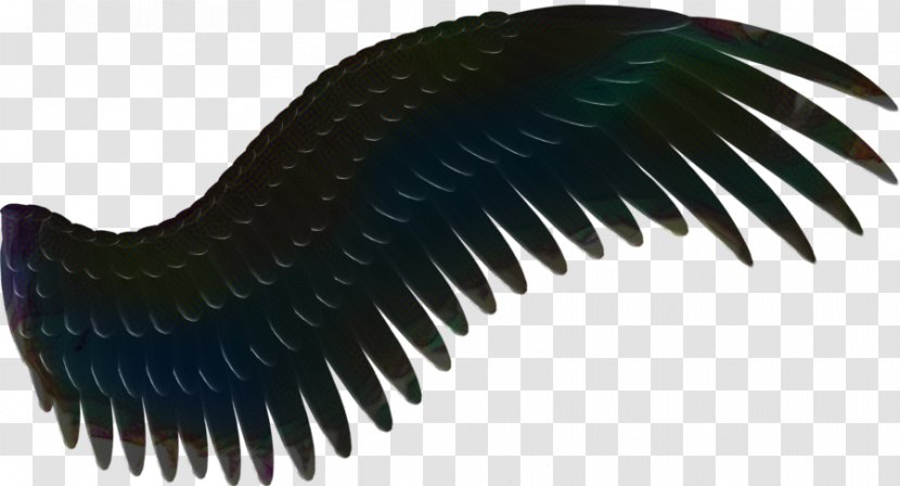 Book Silhouette - Raven Store - Eyelash Wing Transparent PNG