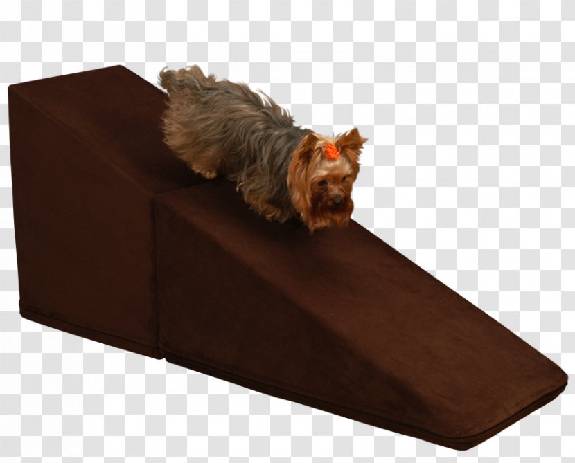 Yorkshire Terrier Couch Bed Rectangle - Carnivoran - Chocolate Brown Transparent PNG