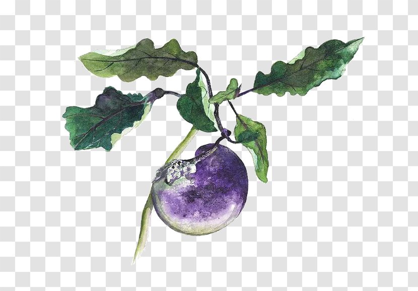 Eggplant Google Images Download Icon - Creative Hand-painted Small Transparent PNG