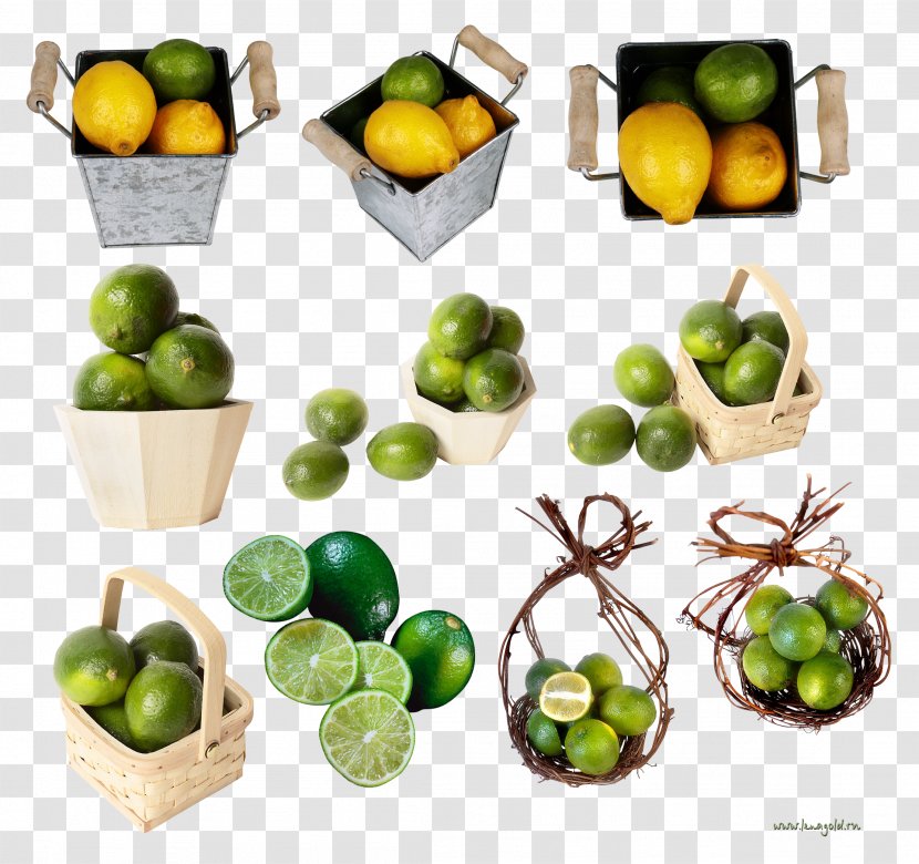 Bucket Key Lime Tableware Clip Art - Food Transparent PNG