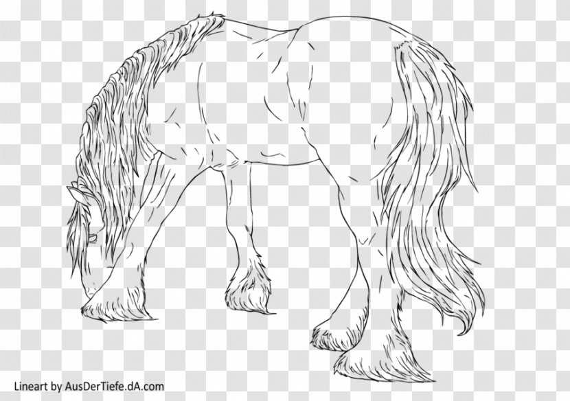 Mustang Pony Arabian Horse Draft Drawing Transparent PNG
