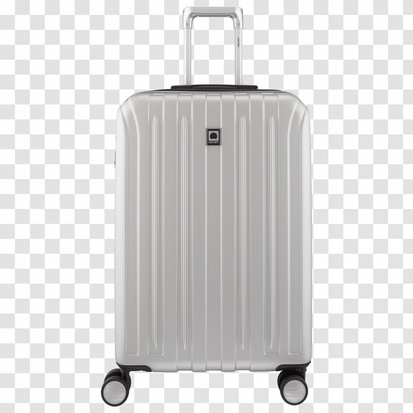 delsey travel luggage