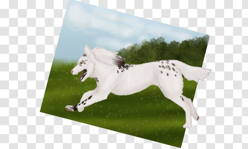 Stallion Mustang Mare Horse Tack Freikörperkultur Transparent PNG