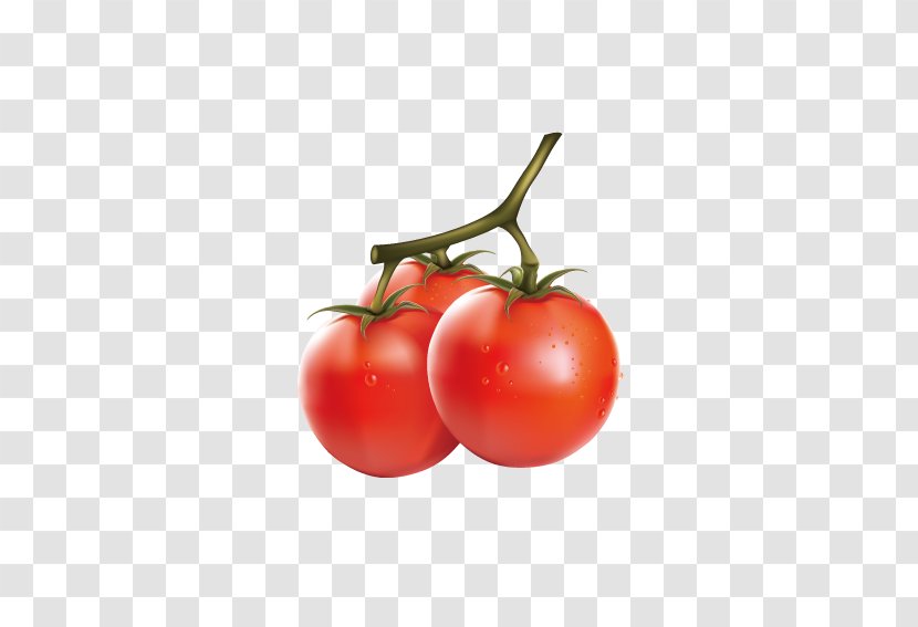 Cherry Tomato Vegetable Fruit Clip Art - Fruchtgemxfcse - Delicious Tomatoes Transparent PNG