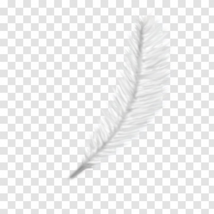 PhotoScape Feather GIMP - Blog - Drawing Transparent PNG