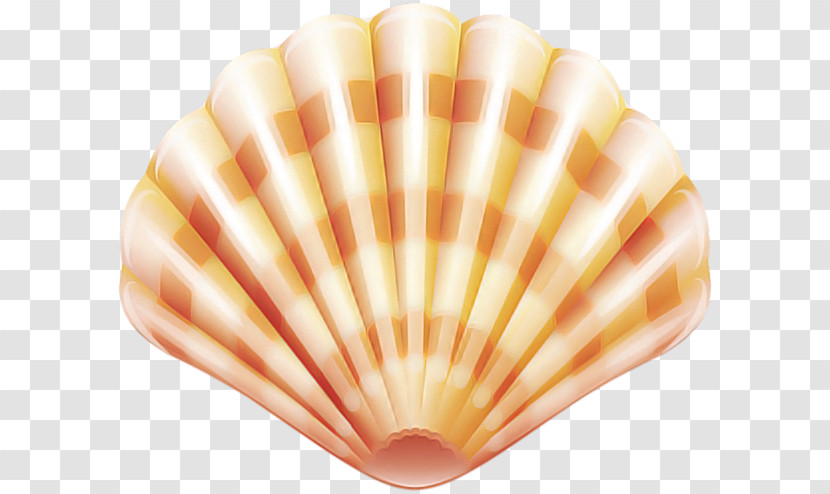 Shell Peach Beige Natural Material Transparent PNG