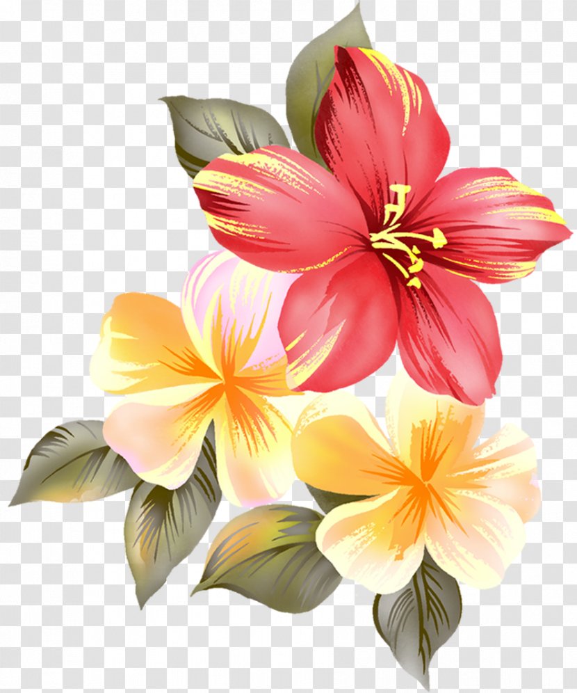 Evening Good Love Rose Romance - Alstroemeriaceae - Flowers Transparent PNG