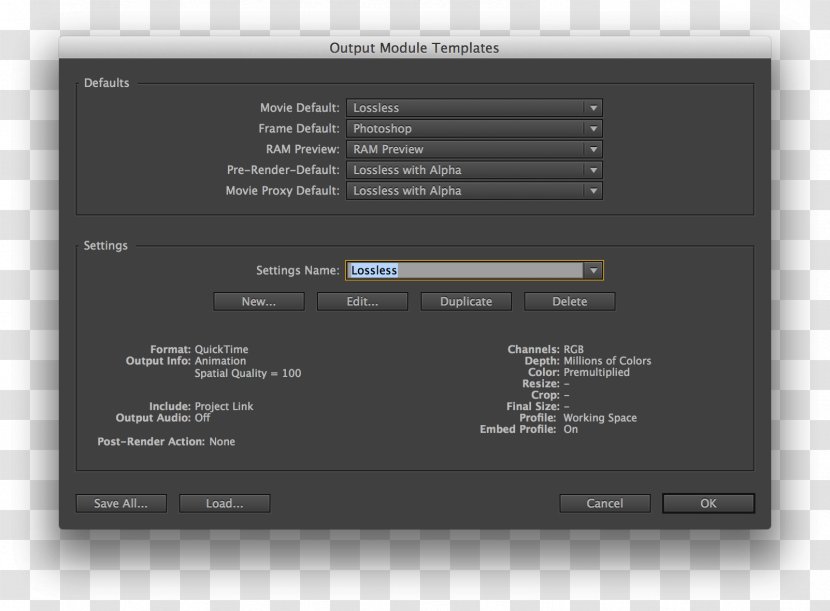 Rendering Installation Plug-in Adobe After Effects Transparent PNG