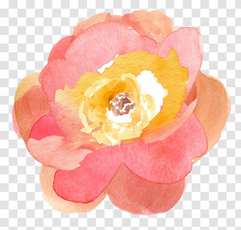 Watercolor Painting Flower Drawing Clip Art - Pink Transparent PNG