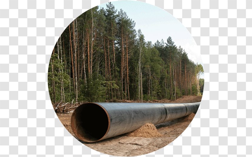 Construction Pipeline Transport Business Energy Facilities Engineering - Tree - Oil Transparent PNG