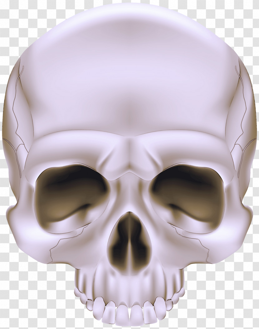 Bone Skull Face Head Jaw Transparent PNG