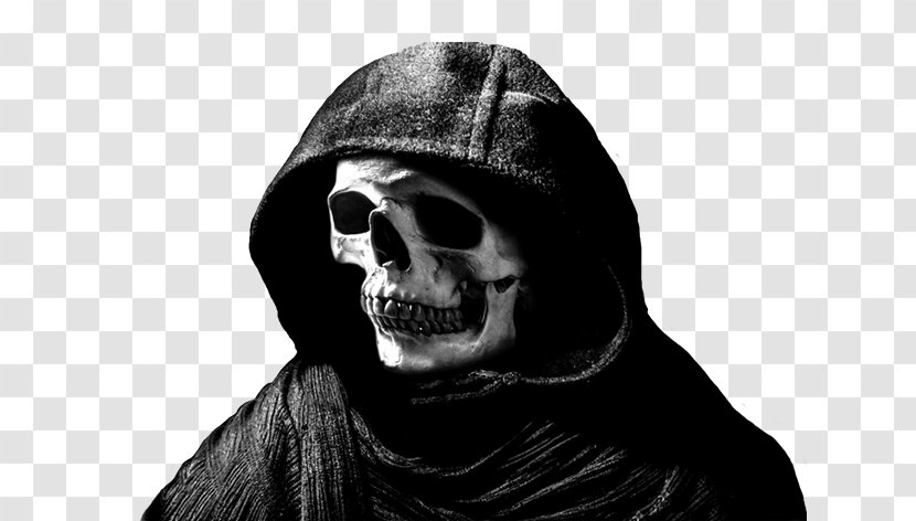 Skull Face Skeleton Death Drawing - Bone Transparent PNG