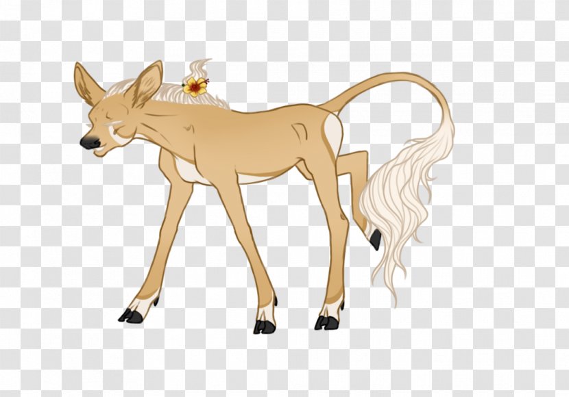 Horse Deer Mare Name Dog - Like Mammal Transparent PNG
