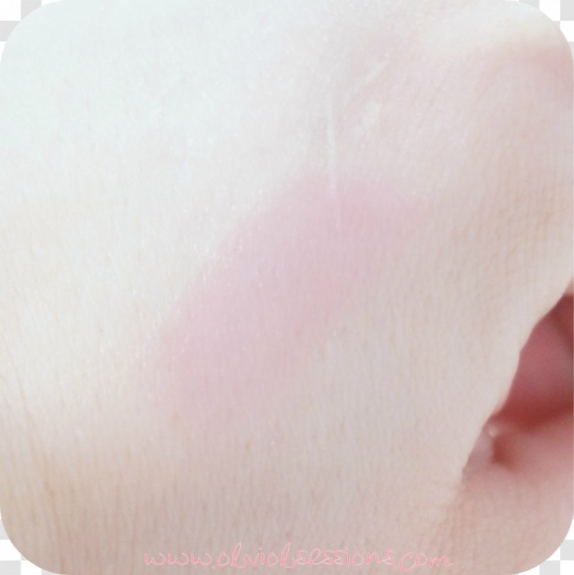Close-up Peach - Petal - Jaw Transparent PNG