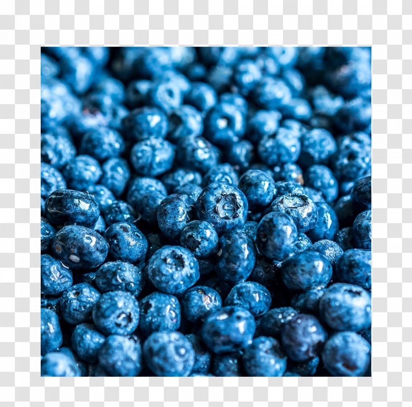 Blueberry Fruit Auglis - Health - Picture Material Transparent PNG