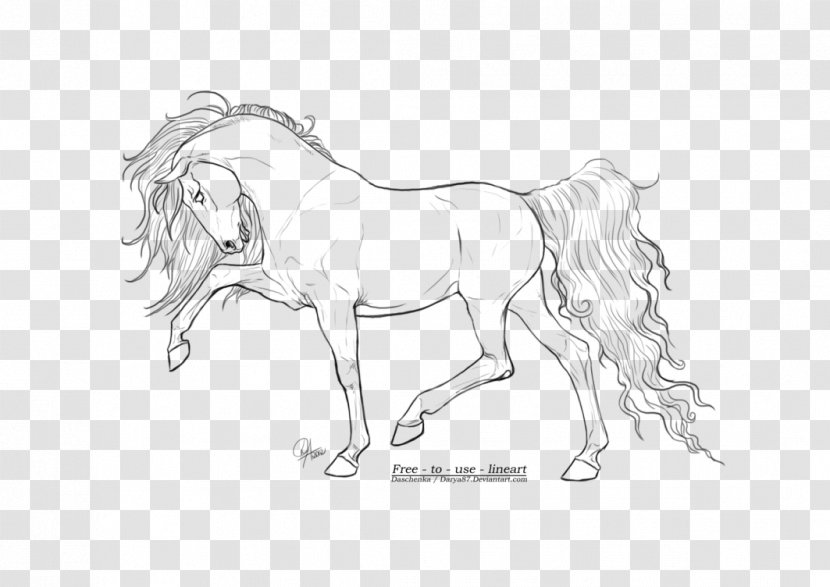 Arabian Horse Line Art Drawing Pony DeviantArt - Show - Horse-drawn Transparent PNG