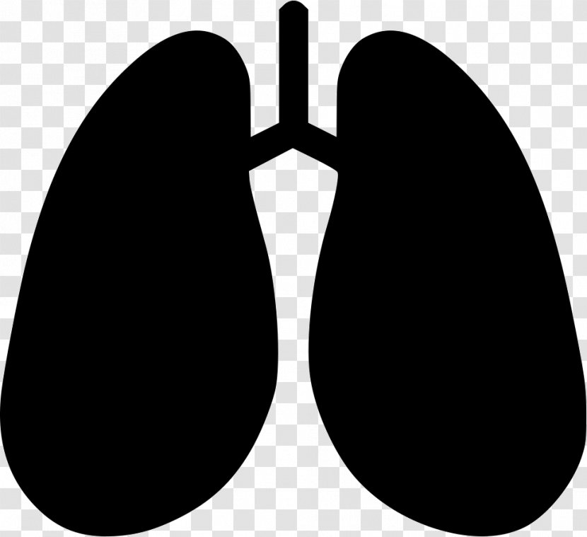 Clip Art Lung Breathing Pulmonology - Detoxification - Of Lungs Transparent PNG