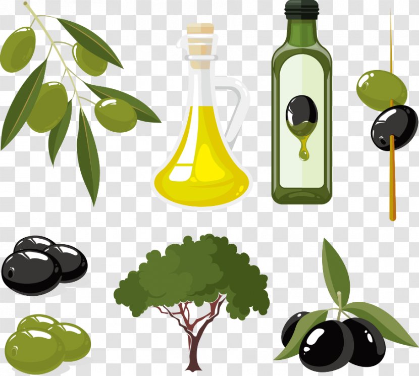Olive Oil - Branch - Vector And Fruit Transparent PNG
