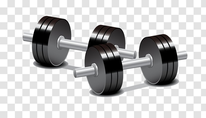 Dumbbell Weight Training Olympic Weightlifting Barbell - Physical Fitness - Cartoon Transparent PNG