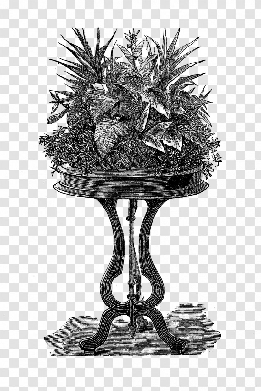 Victorian Era Houseplant - Drawing - Potted Plant Transparent PNG