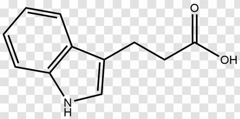Histidine Amino Acid Isoleucine Phenylalanine - Decarboxylase Transparent PNG