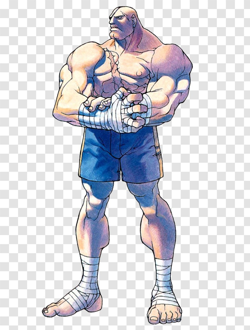 Street Fighter Alpha 2 Sagat Ryu - Silhouette Transparent PNG