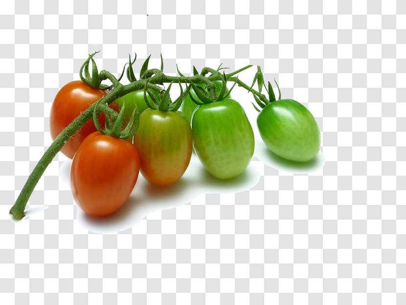 Cherry Tomato Vegetable Fruit Grape Plum - Tomatoes Transparent PNG