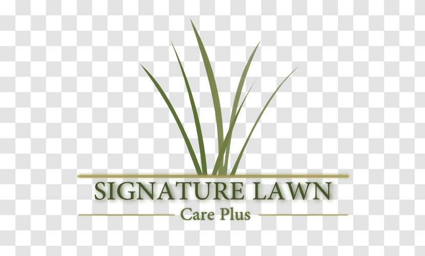 Logo Font Hemp Grasses Plant Stem - Brand - Landscaping Flyer Transparent PNG