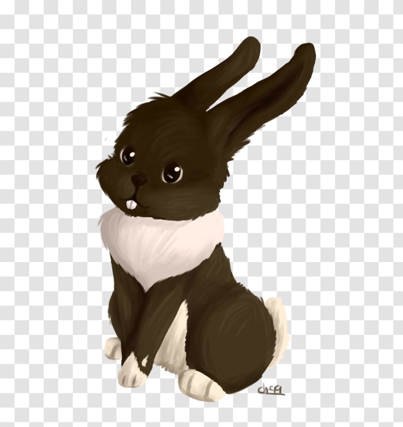 Domestic Rabbit Hare Easter Bunny Fur - Dog Transparent PNG