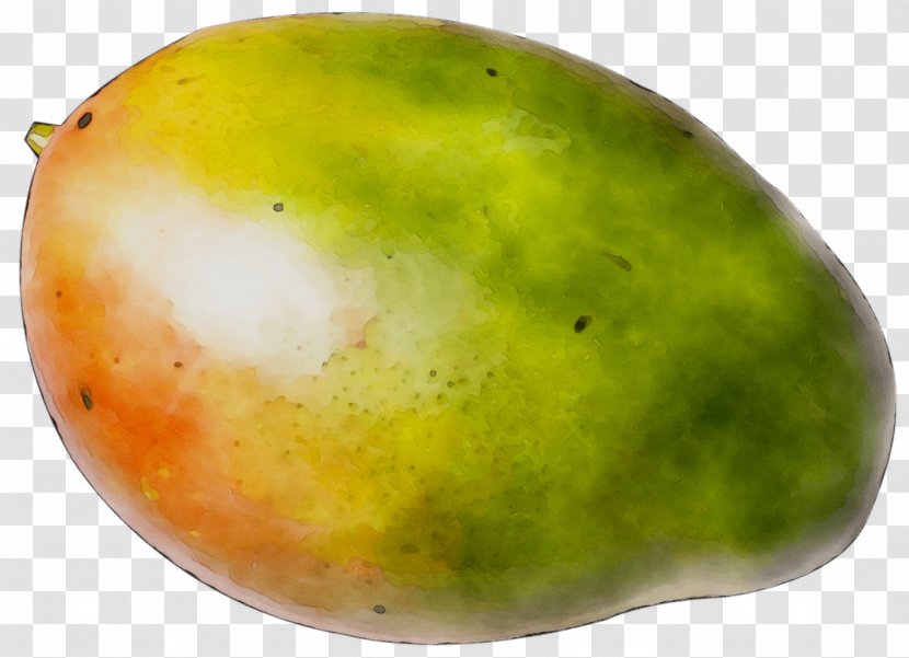 Mango - Papaya - Plant Transparent PNG