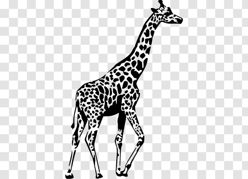 Wall Decal Sticker Giraffe Transparent PNG