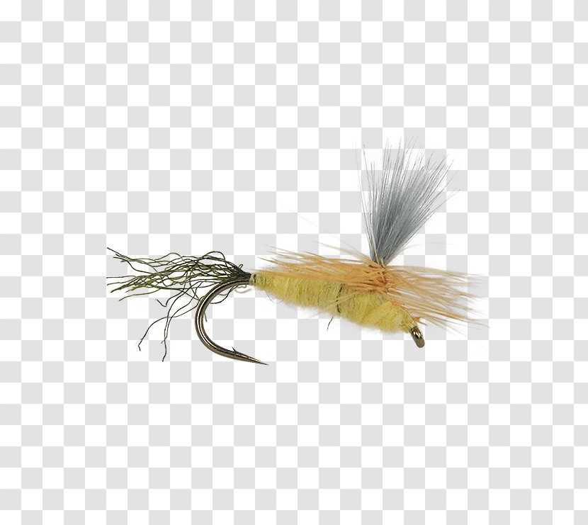 Artificial Fly - Pest - Fishing Bait Transparent PNG