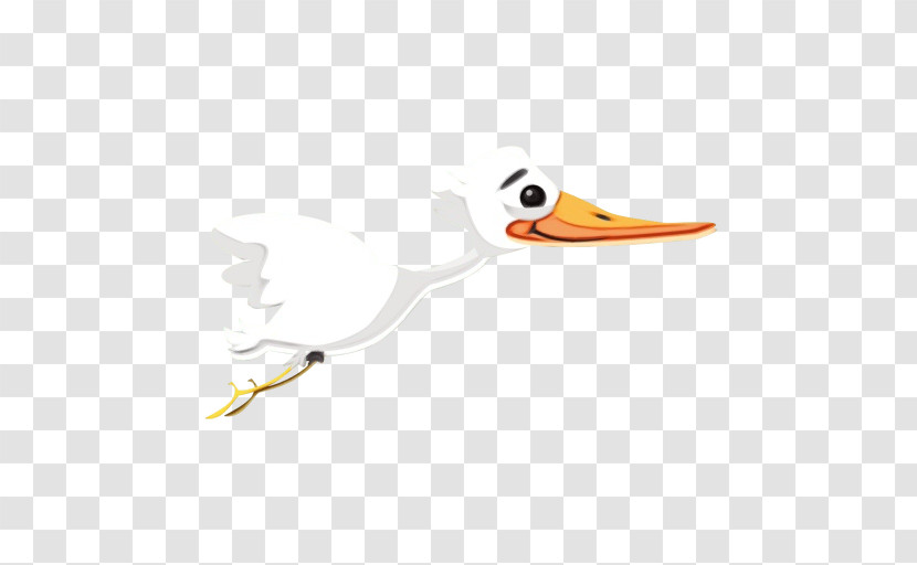 Birds Duck Seabird Beak Wader Transparent PNG