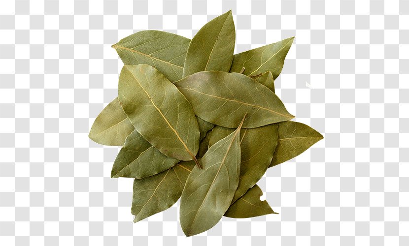 Herb Bay Leaf Condiment Spice Crayfish As Food - Taste - Laurel Leaves Transparent PNG