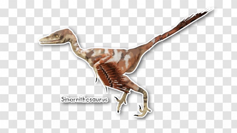 Velociraptor Sinornithosaurus Deinonychus Dromaeosaurids Dinosaur - Animal Figure Transparent PNG