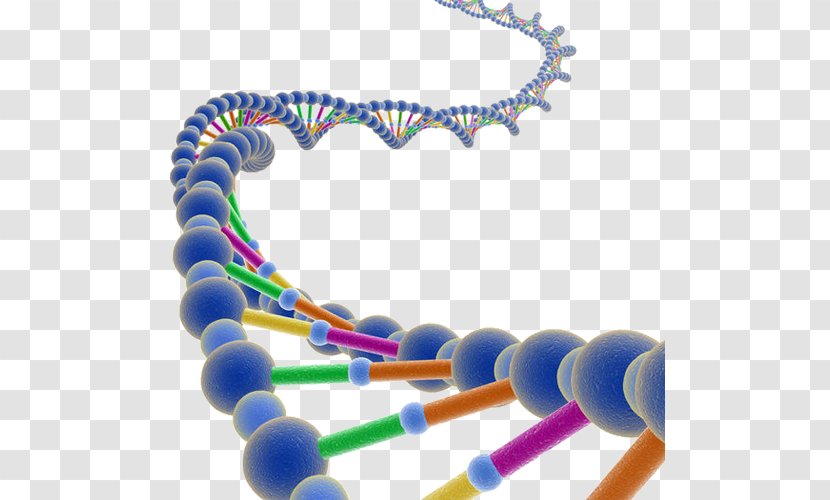 The Double Helix: A Personal Account Of Discovery Structure DNA Nucleic Acid Helix Adenine Guanine - Francis Crick - Medical Chain Gene Transparent PNG