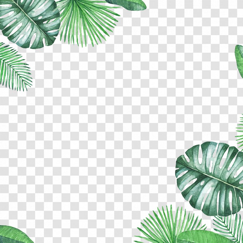 Leaf - Grass - Green Fresh Border Texture Transparent PNG