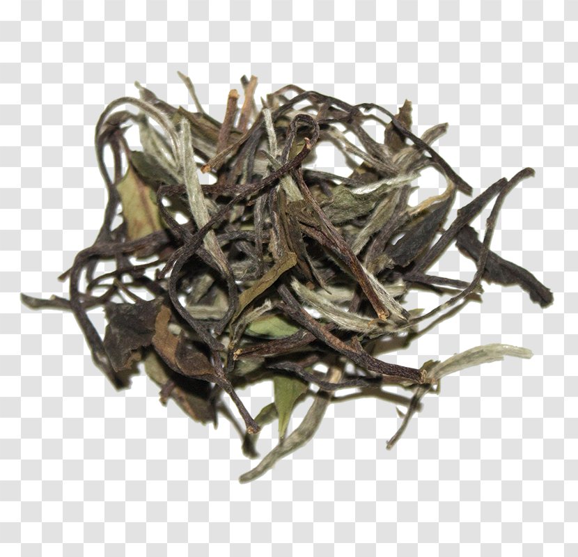 Baihao Yinzhen Nilgiri Tea White Earl Grey Transparent PNG