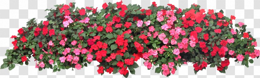 Flower Garden Grow Light - Hedge Transparent PNG