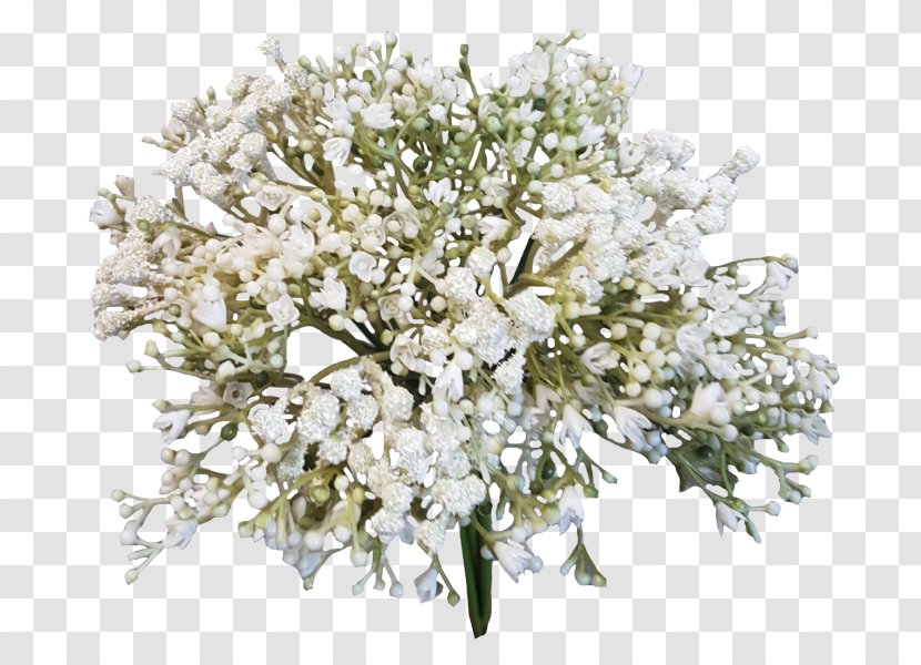 Flower Bouquet Baby's-breath Cut Flowers - Tree - Baby Breath Transparent PNG