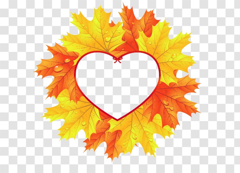 Autumn Leaf Color Heart Maple Transparent PNG